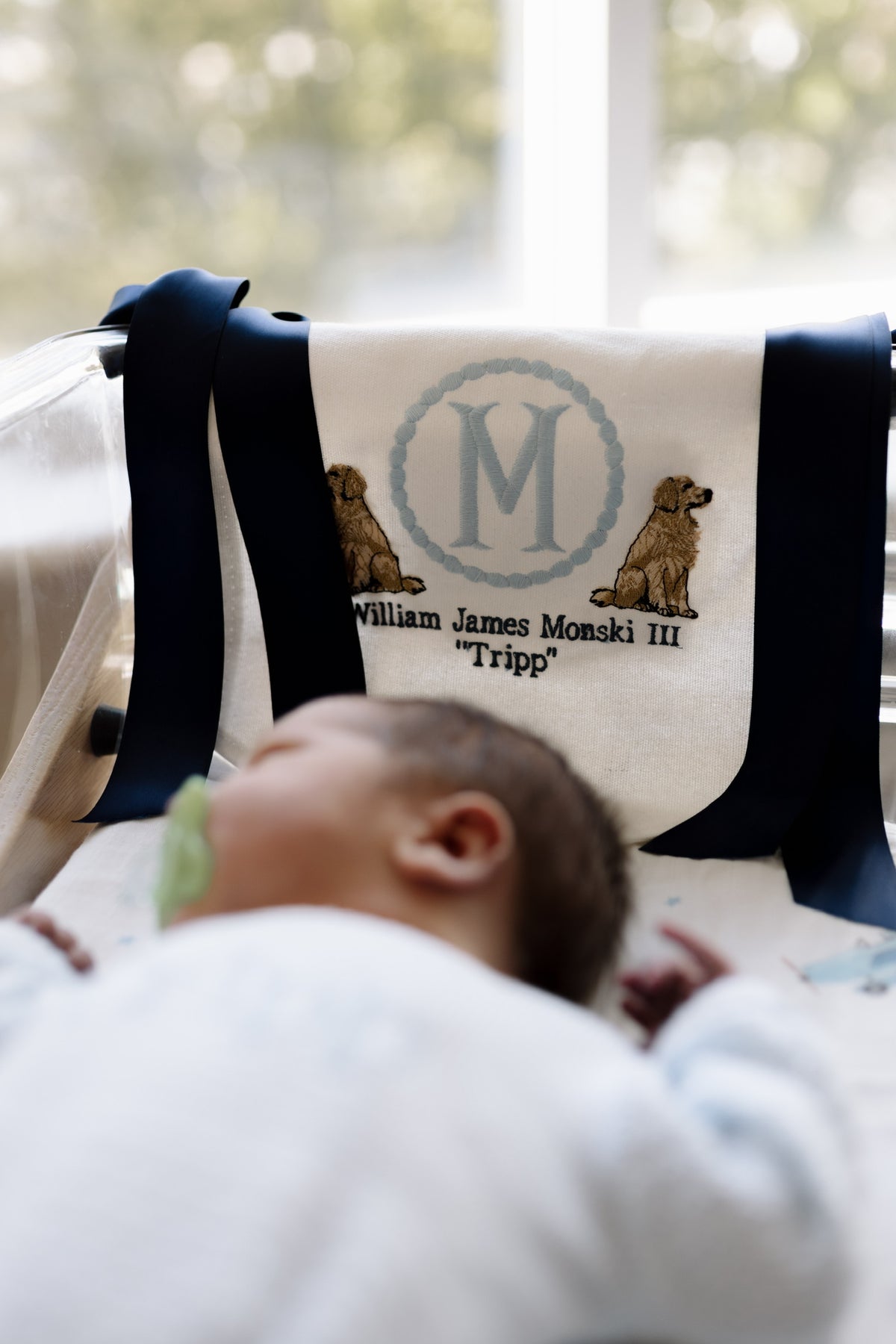 Welcome Baby Banner